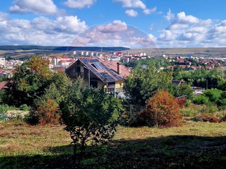 Teren 1,000mp Piatra-Neamt / Strada Pietrelor - 8