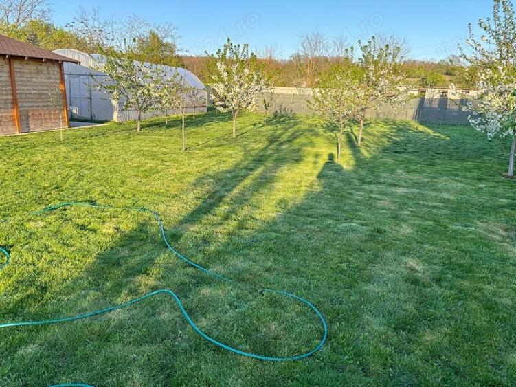 Casa + Teren Brebeni - 8000 metri patrati - 10 minute de Slatina - 2