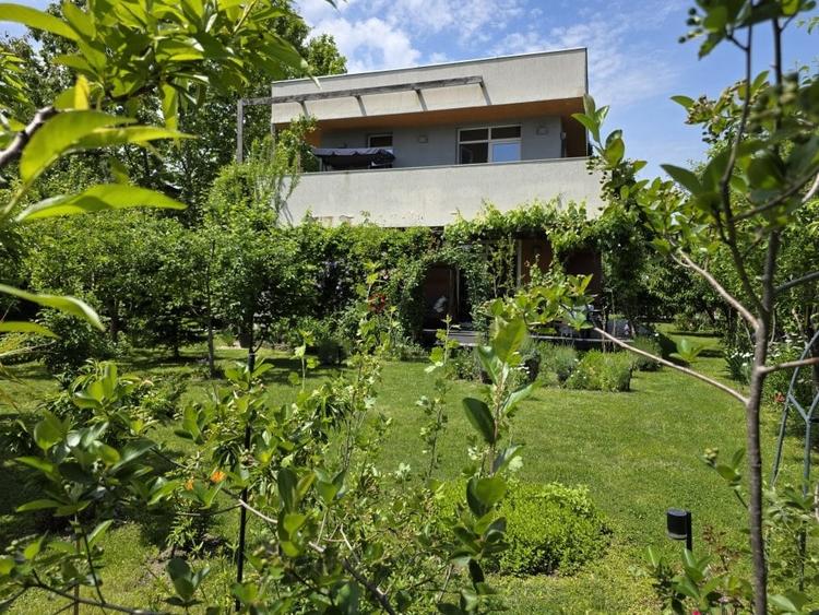 Refugiu Verde in Corbeanca – Vila Premium cu Gradina Matura - 7