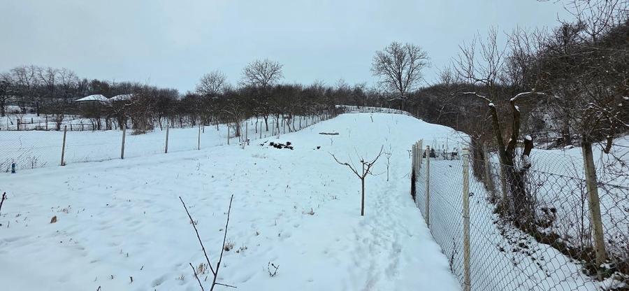 Proprietate deosebită în sat Chinari – Sântana de Mureș - 6