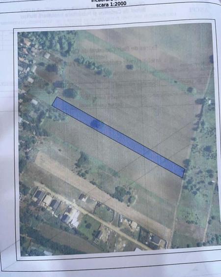 Teren intravilan Dascalu 4650 mp - 32 EUR/mp negociabil - 1