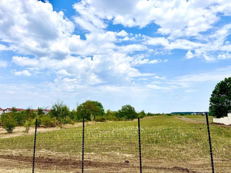 Corbeanca Vanzare teren intravilan stradal - 2