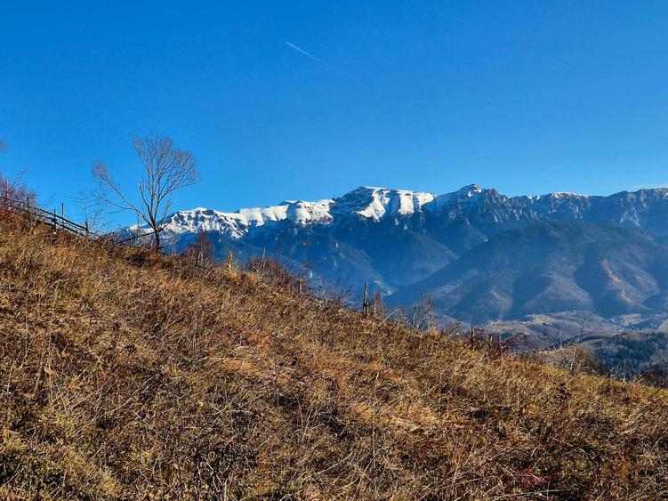 Teren de vânzare în sat Măgura/ Brasov– loc pentru familie, liniște și suflet - 6