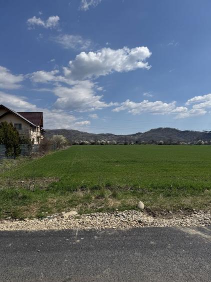 Teren de vanzare - 1