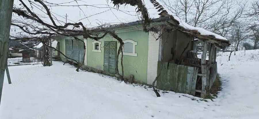 Casa cu Anexe, Gradina + 2Ha Terenuri - 6