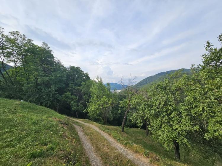 TEREN DE VANZARE SECIURI - 5