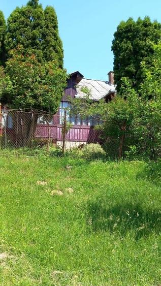 Gospodărie completă + anexe și teren 1,5 ha Năsăud - 10