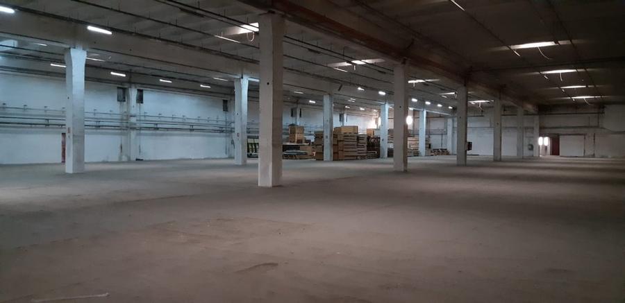 Imobilstar inchiriaza hala/ depozit 5000-12000 mp - 1