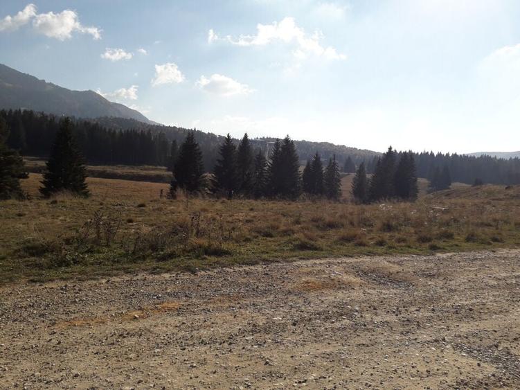 Teren cu Potential Turistic Major in Poiana Brasov - 1