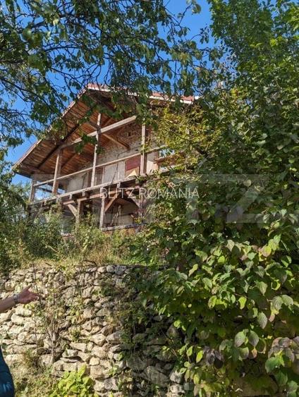 Casa 3 camere si teren 4873 mp  in Pietroasa, Moldovenești