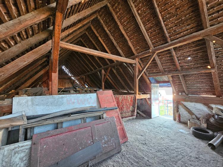 3 Corpuri noi casa, Hala Productie, Curte, Acces auto, Cristian |VIDEO - 49