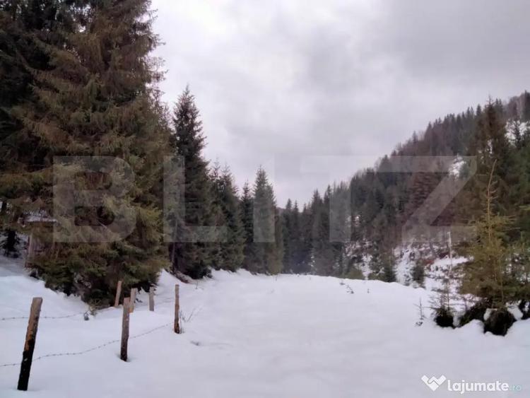 Cabana la marginea padurii Arieseni, Dealul Bajului - 13