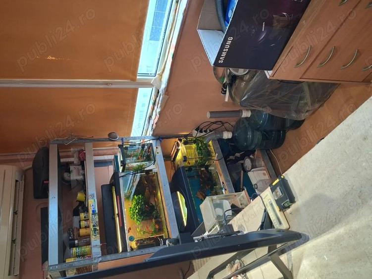 Basarabia -Campia Libertatii - 7