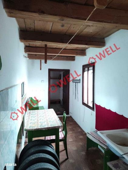Proprietate cu 2 case de vanzare in Tamasfalau! - 6