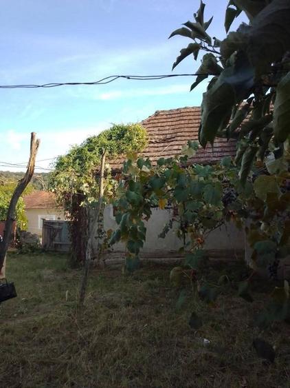 Casa de vanzare, localitate Tagadau ,com.Beliu, Nr 153 - 2