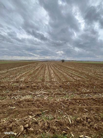Teren extravilan 2500 mp,cu acces la Centura ,Radauti - 6