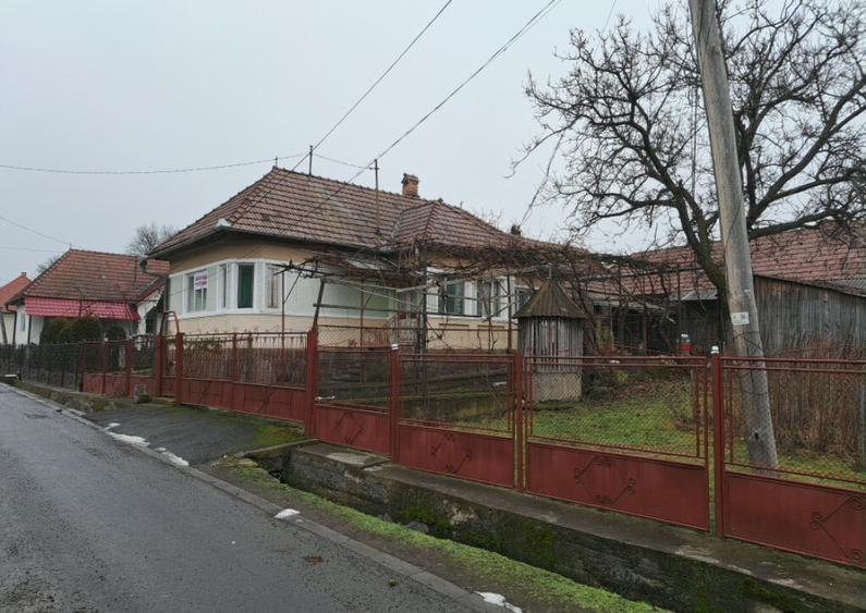 Casa de vanzare in Ibanesti - 1