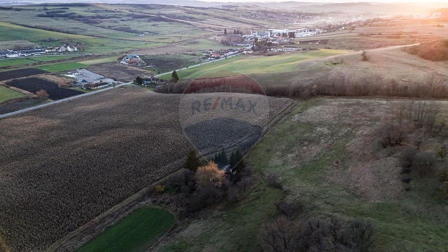 Teren extravilan de vanzare 27.402 mp/Agnita - 5