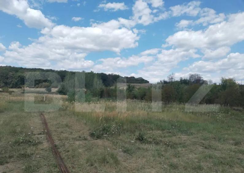 Vila individuala pe parter Priseaca - 11