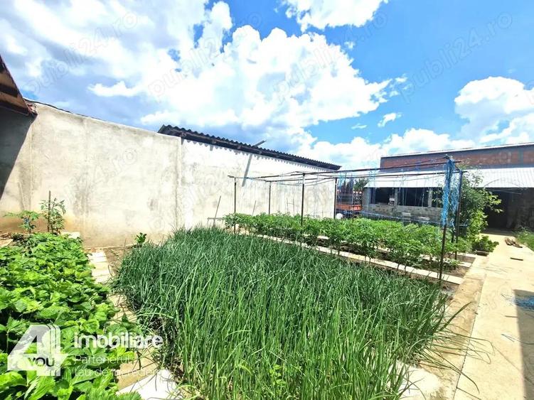 Casa in Loc. Pecica, teren 1602 mp, fs.17 ml, termoteca - 5