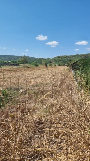 teren 5236mp, Mihaesti - 2