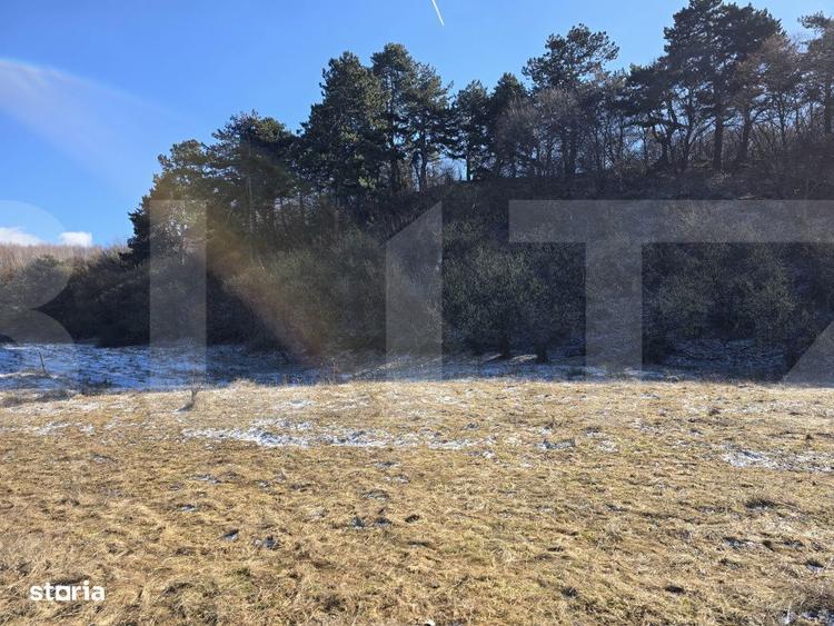 Teren intravilan 4000 mp | Panorama superba | Langa statia meteo - 4