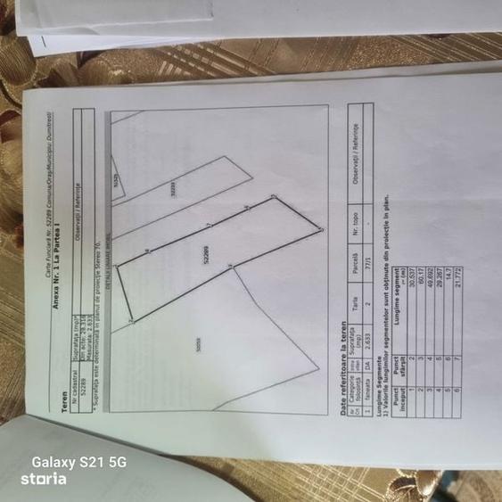 Teren Dumitresti - Fata 2.5 ha - 3