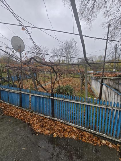 Casa batraneasca cu teren 1000mp - 4