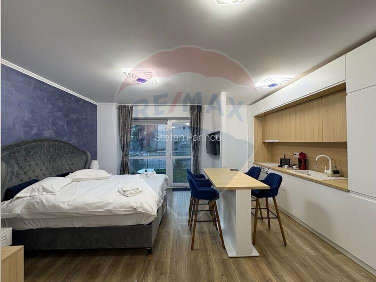 Studio luminos,55 mp, 2022 + parcare, Sinaia, introdus regim hotelier Studio luminos,55 mp, 2022 + parcare, Sinaia, introdus regim hotelier