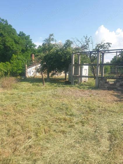 Casa cu gradina la 25 km de Oradea- gaz, apa, curent - 5