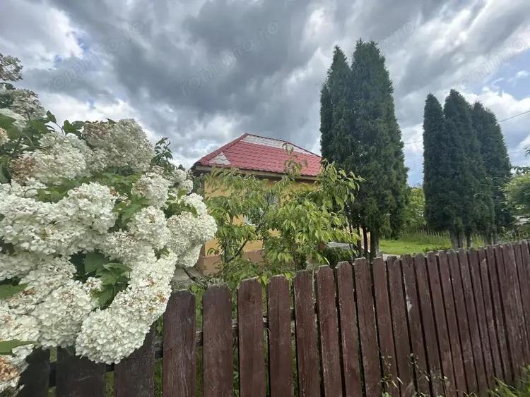 VAND CASUTA CU 3120 MP TEREN, SURDESTI BREAZA - 6