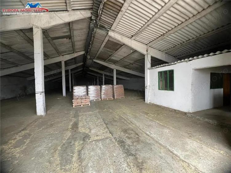 Hale de inchiriat localitatea M. Kogalniceanu Tulcea - 11