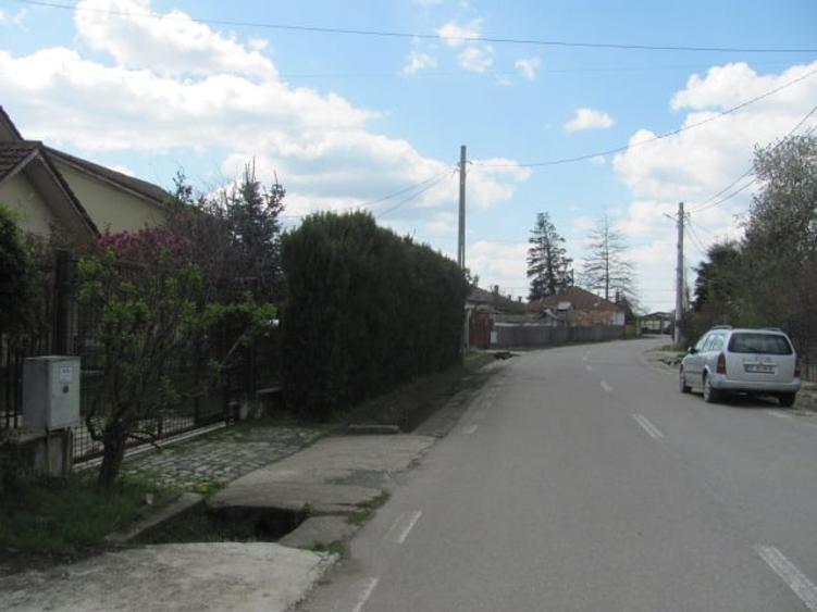 Cornetu - Lalelelor, Stradal - 11