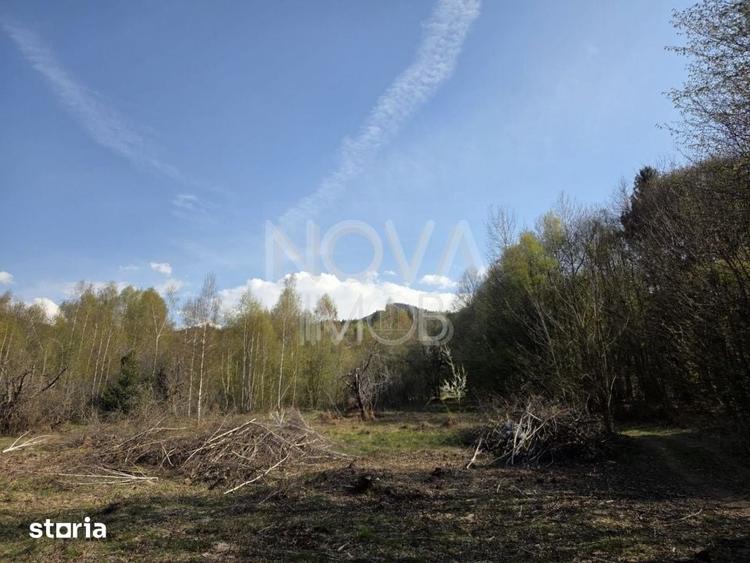 Teren de 4900 mp, în Viștea