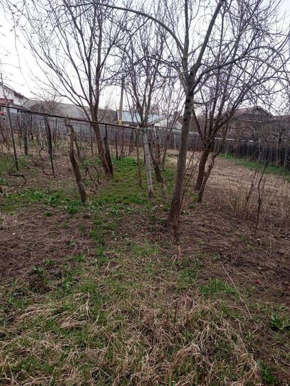 Teren intravilan, Saucesti, centru. - 4