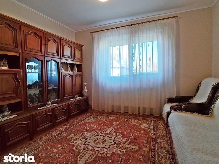 Casa la tara in Sacadat, Bihor, teren 2826 mp, acces auto - Vanzare - 19