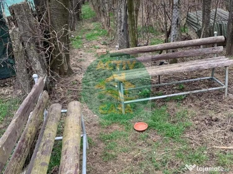 LOCUIN?A ECOLOGICA + GRADINA SUSTENABILA - 10