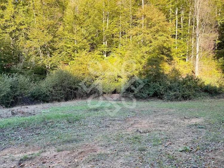 Teren pentru casa de vacanta pe Valea Bratcutei, Bihor - 8