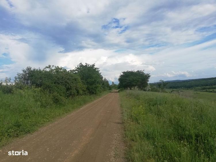 3,5 ha teren Vaculesti - 4