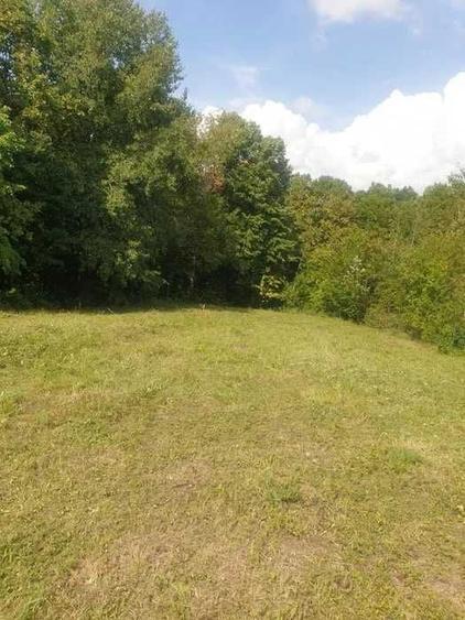 Vand teren intravilan la Seciu - 4