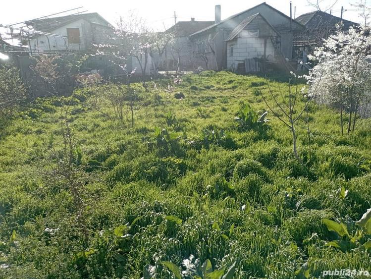Se vinde casa cu teren in Constan?a Palazu Mare - 6
