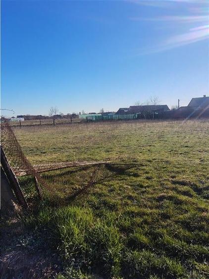 RECO Teren  intravilan in Cefa - 4