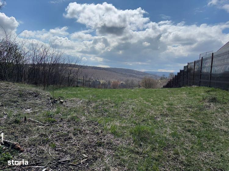 Teren construibil casa/ duplex Feleacu/asfalt - 3