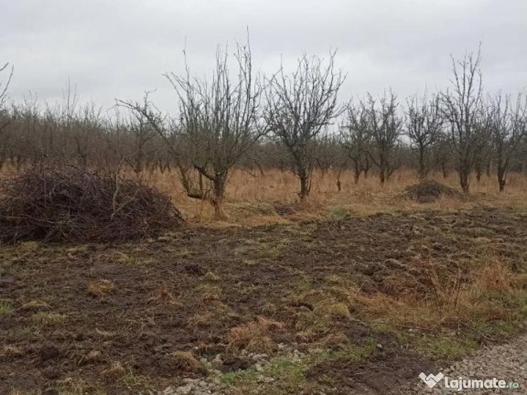 De vanzare terenuri intravilane in Sfantu Gheorghe - 2