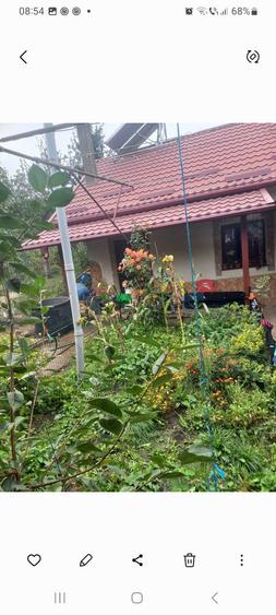 Vand casa de locuit plus magazin - 12