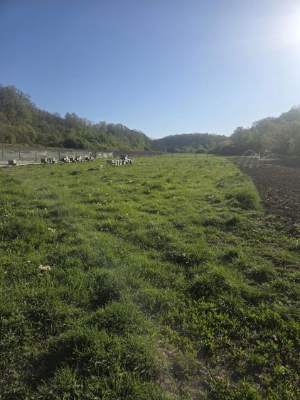 Ofer casa spre vanzare - 4