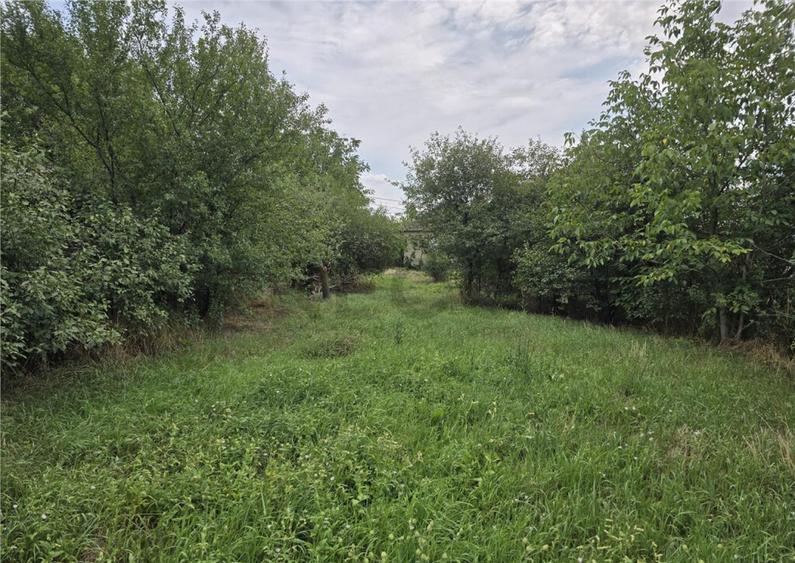 RECO IMOBILIARE CASA BATRANEASCA TINCA - 8