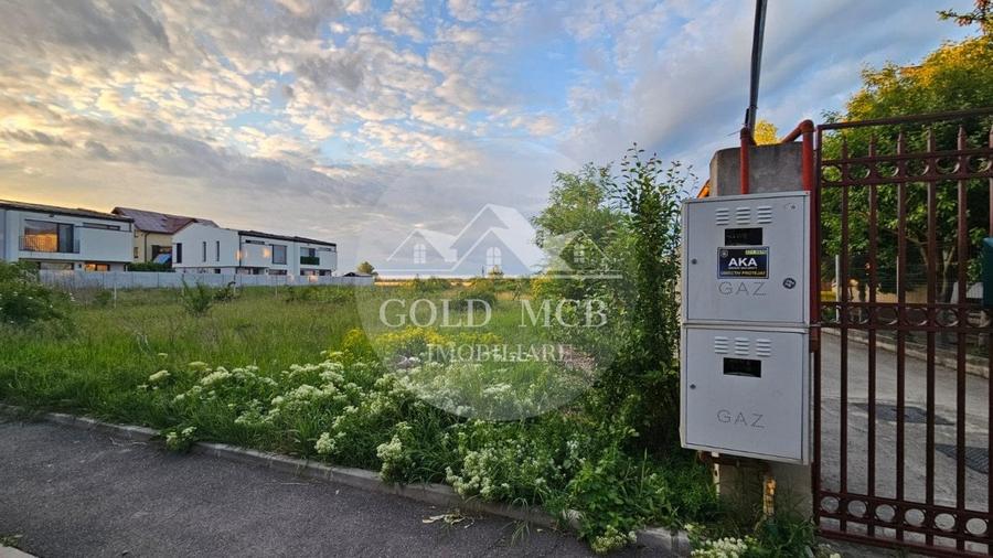 Teren - Oras Otopeni  -Mega Image - 5