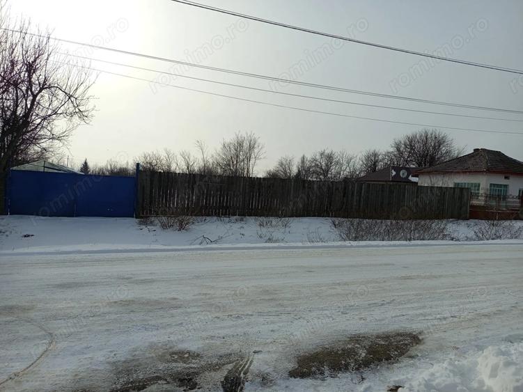 Casa + Teren generos 3283 mp in Curcani, CL Gaze la poarta (Posibilitate parcelare) - 10