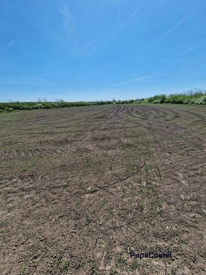 Peris langa raul Ialomita teren 10250 mp intravilan deschidere 46 ml - 1